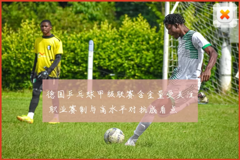 德国乒乓球甲级联赛含金量受关注 职业赛制与高水平对抗成看点