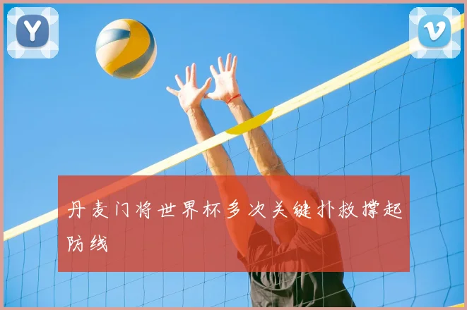 丹麦门将世界杯多次关键扑救撑起防线