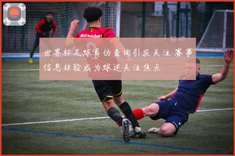 世界杯足球真伪查询引发关注 赛事信息核验成为球迷关注焦点