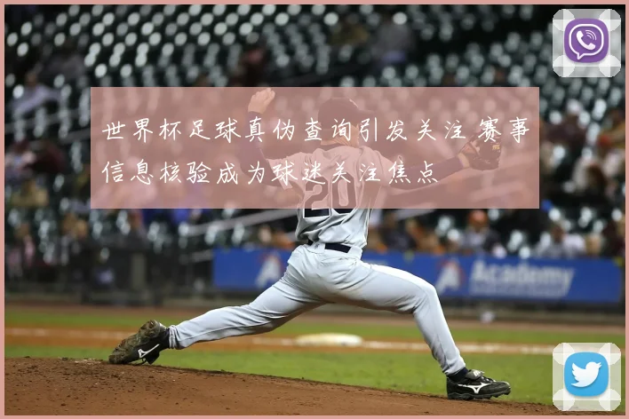 世界杯足球真伪查询引发关注 赛事信息核验成为球迷关注焦点